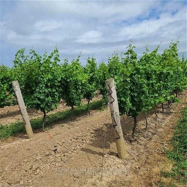 1074 Niagara Stone Rd, Niagara-on-the-Lake, L0S 1J0 | Image 3