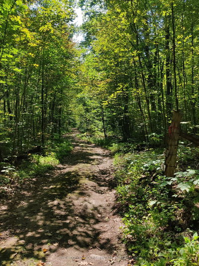 0East2 Road allowance Rd, Havelock-Belmont-Methuen - Rural Havelock-Belmont-Methuen