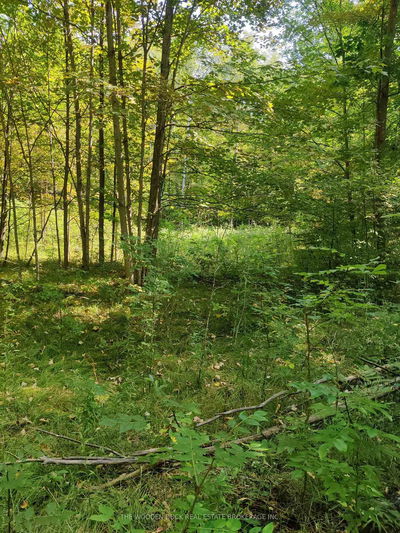 0East1 Road Allowance Rd, Havelock-Belmont-Methuen - Rural Havelock-Belmont-Methuen
