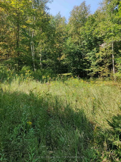 0East1 Road Allowance Rd, Havelock-Belmont-Methuen - Belmont-Methuen image-0-1