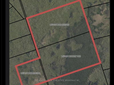 0East1 Road Allowance Rd, Havelock-Belmont-Methuen - Belmont-Methuen image-0-4