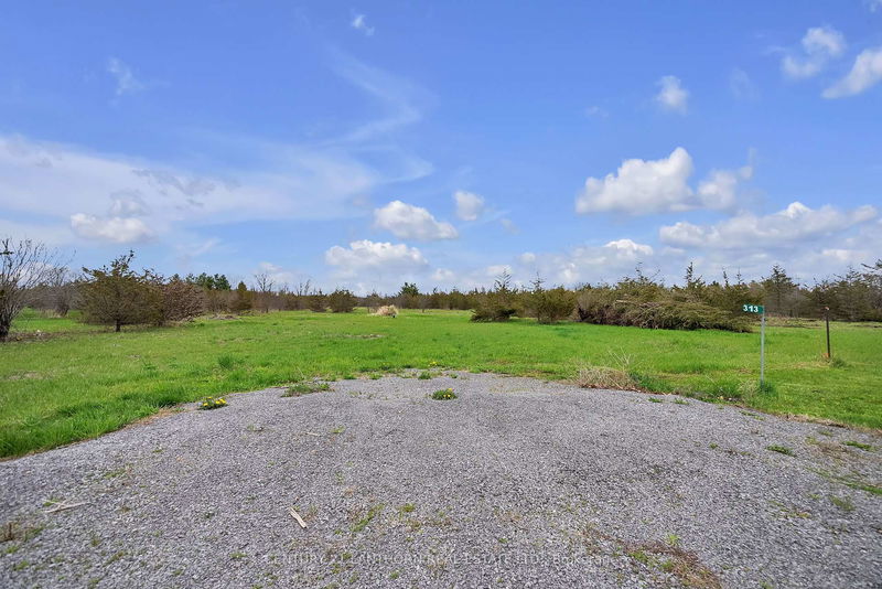 313 Kings Rd, Prince Edward County - Athol Ward image-0-0
