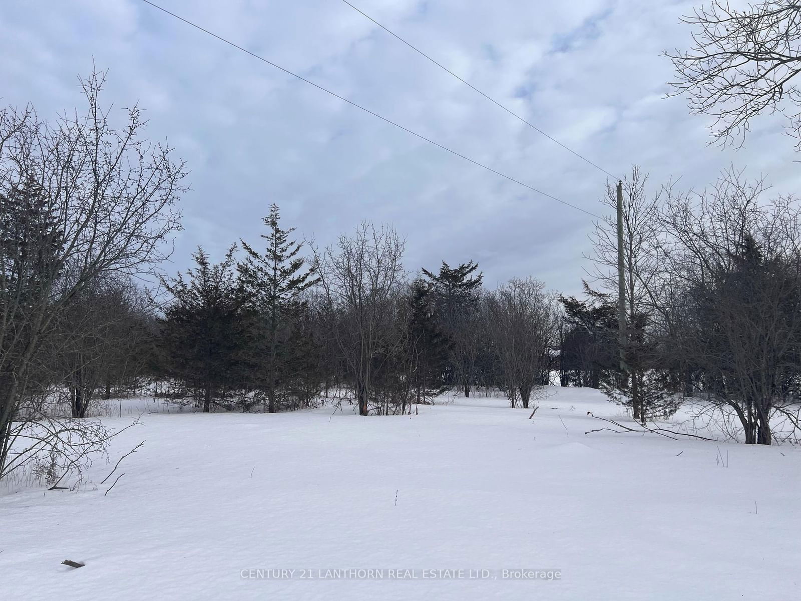 Vacant Land sold at 321 Kings Road, Prince Edward County, Athol, K0K 1P0 - MLS: X11954672