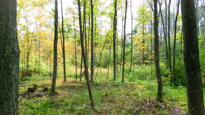 3590 ALTON Rd, Harrowsmith - Frontenac South image-0-1