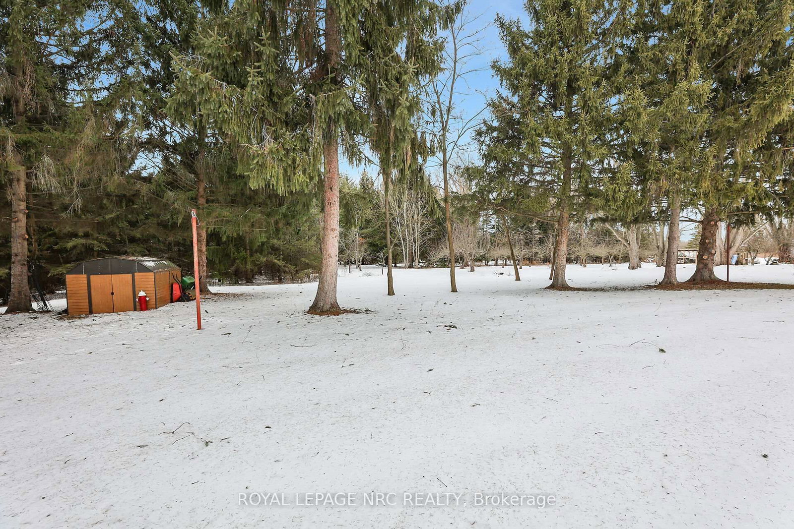 Listing Image 38