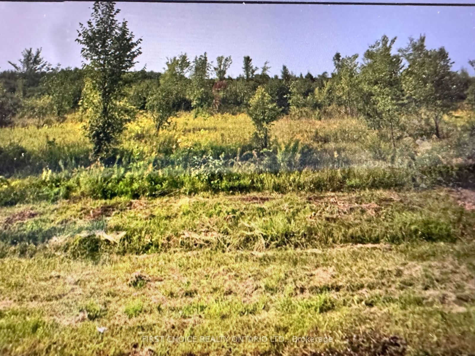 Vacant Land for sale at 20963 Glen Roberston Road, North Glengarry, 721 - North Glengarry (Lochiel) Twp, K0C 1A0 - MLS: X11955492