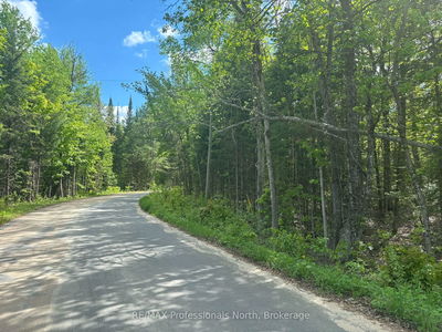  Spar Lake Rd, Minden Hills - 