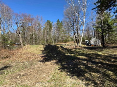 1703 Boulter Rd, Maple Leaf - Carlow Ward image-0-3