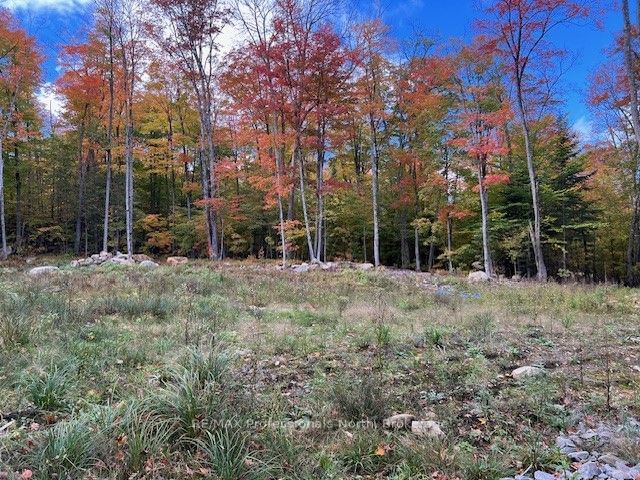 Vacant Land for sale at 120 Maws Hill Road, Huntsville, Chaffey, P0A 1R0 - MLS: X11957497