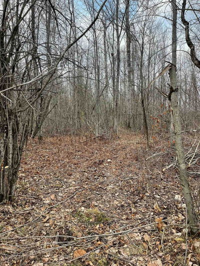 2819 Cowell Rd, North Gower - Rideau Twp S of Reg Rd 6 W of Mccordick Rd.
