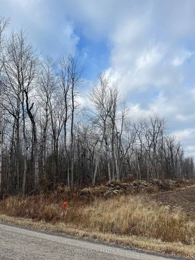 2819 Cowell Rd, North Gower - Rideau Twp S of Reg Rd 6 W of Mccordick Rd. image-0-1