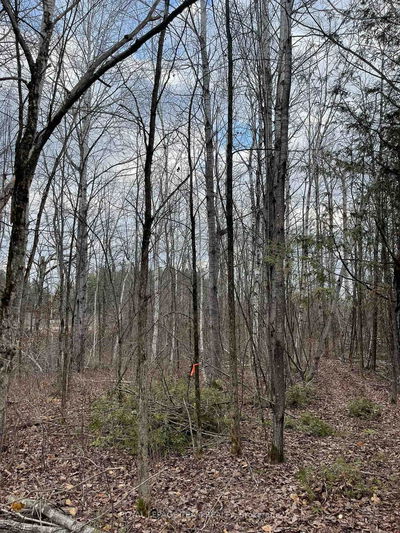2819 Cowell Rd, North Gower - Rideau Twp S of Reg Rd 6 W of Mccordick Rd. image-0-4