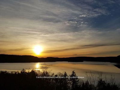  HIGHWAY 35 Highway, Lake of Bays - Ridout