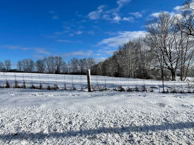 00 County Road 8 Rd, Rideau Lakes - Rideau Lakes (Bastard) Twp image-0-2