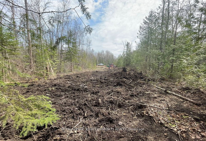 831 Centennial Park, Kawartha Lakes, K0M 2B0 | Image 2