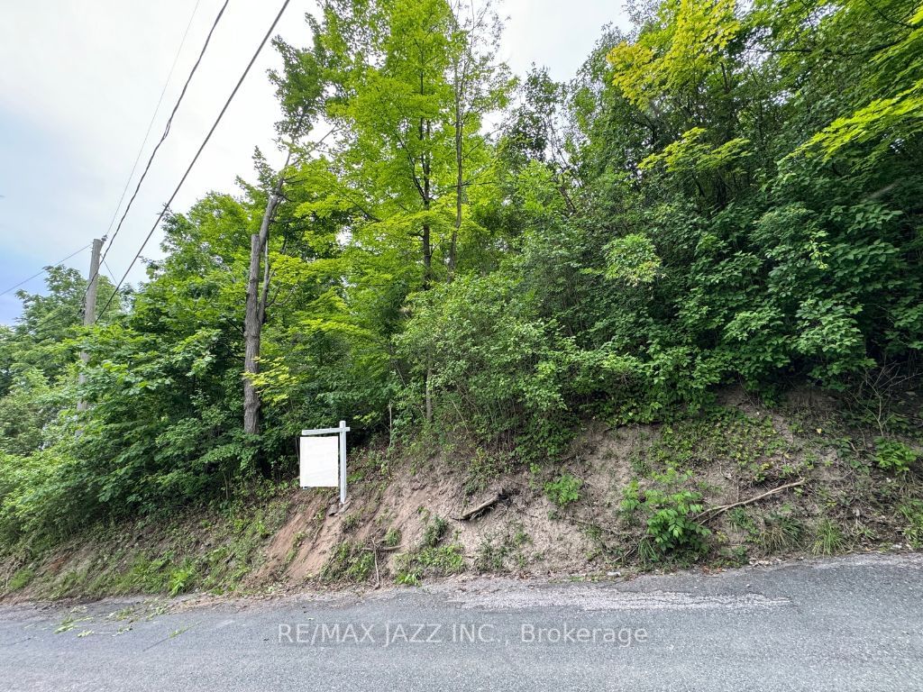 Vacant Land for sale at 0 Maple Street, Trent Hills, Campbellford, K0L 1L0 - MLS: X11958543