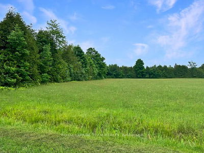 7191 Malakoff Rd, North Gower - Rideau Twp S of Reg Rd 6 W of Mccordick Rd. image-0-1