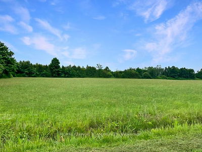 7191 Malakoff Rd, North Gower - Rideau Twp S of Reg Rd 6 W of Mccordick Rd. image-0-2
