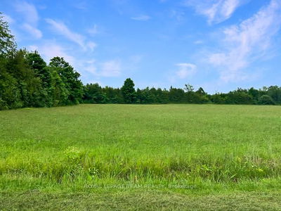 7191 Malakoff Rd, North Gower - Rideau Twp S of Reg Rd 6 W of Mccordick Rd. image-0-3