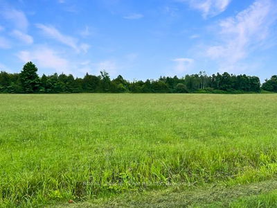 7205 Malakoff Rd, North Gower - Rideau Twp S of Reg Rd 6 W of Mccordick Rd. image-0-3