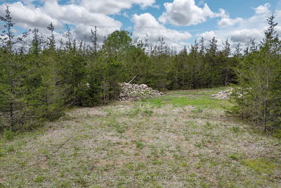 89 POWER Rd, Tyendinaga -  image-0-4