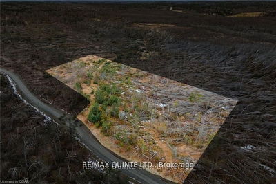  POTTER SETTLEMENT Rd, Tweed - 
