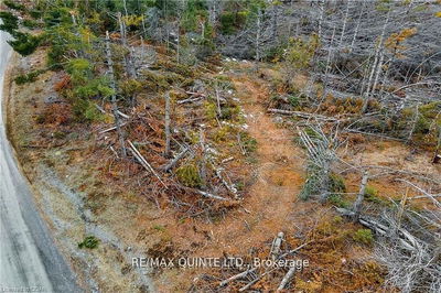  POTTER SETTLEMENT Rd, Tweed -  image-0-1