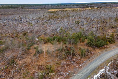  POTTER SETTLEMENT Rd, Tweed -  image-0-3