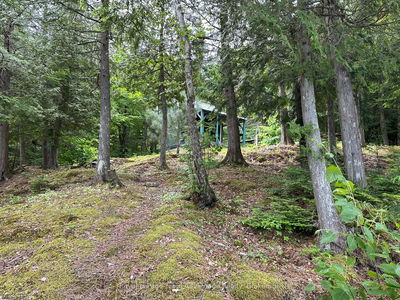 WHITESTONE, Whitestone - Dunchurch image-0-4