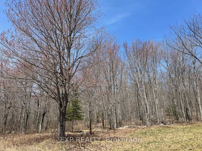 110 Horshoe Lane, Barry's Bay - Madawaska Valley image-0-1