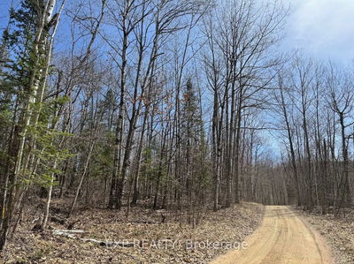 110 Horshoe Lane, Barry's Bay - Madawaska Valley image-0-3