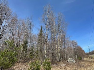 110 Horshoe Lane, Barry's Bay - Madawaska Valley image-0-4