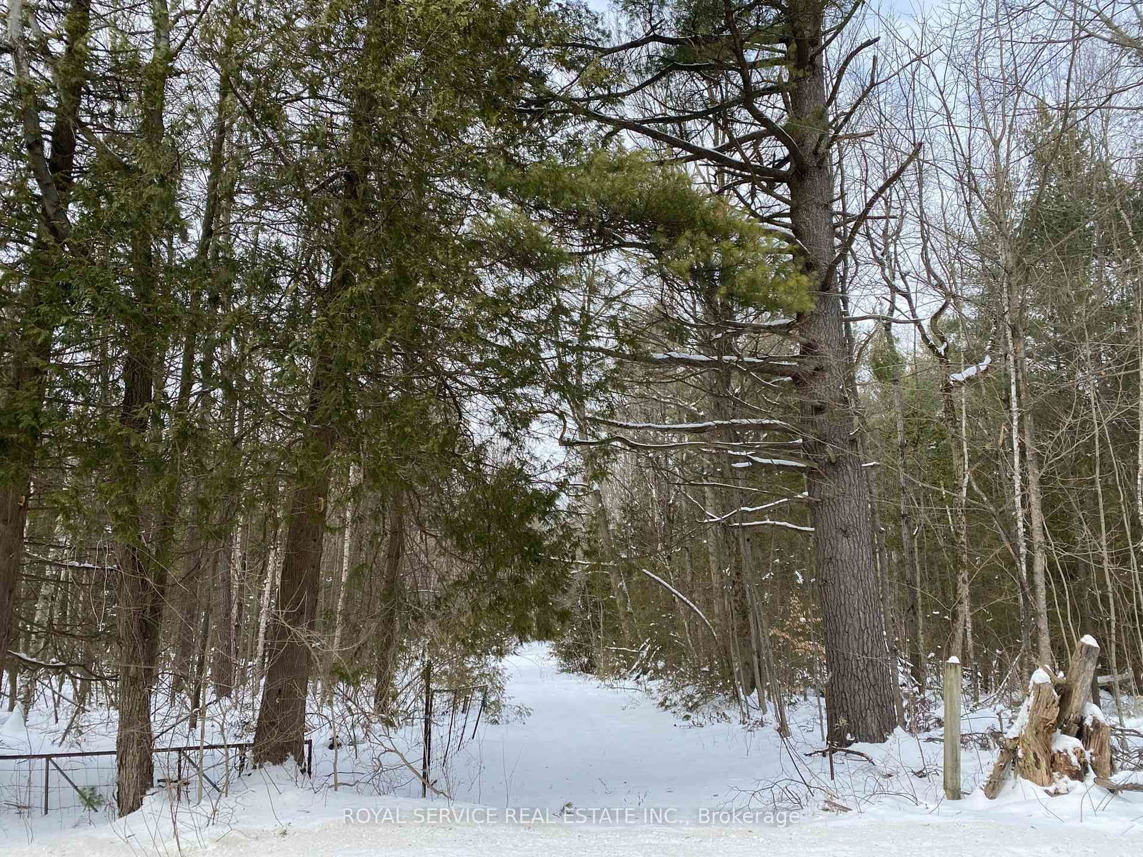 Building at Pt Lt 29 & 30 6th Line, Cty Rd 65 Road, Port Hope, Rural Port Hope