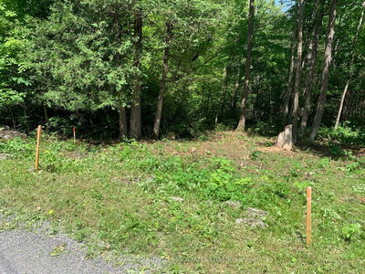 278 Forest Park Dr, Limoges - Marmora Ward image-0-4