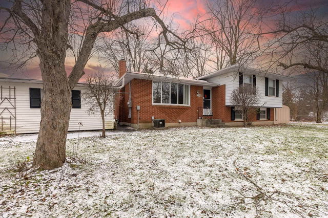 Lower - 598 Mapledale Avenue