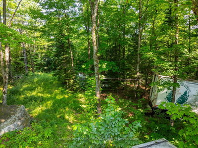 1650 HEKKLA Rd, Muskoka Lakes - Cardwell image-0-4