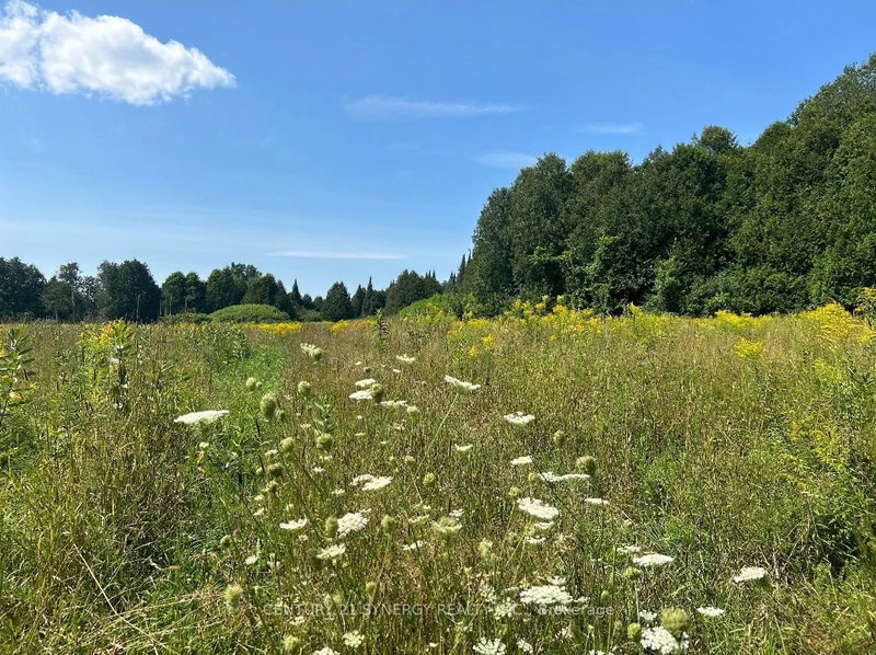 00 Paul's Rd, Perth, K7H 3C8 | Image 3