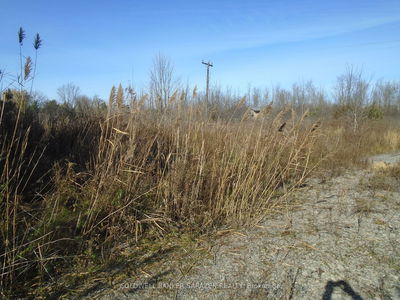 2-49 Rideau Ave, Smiths Falls - Smiths Falls image-0-4