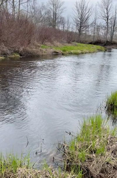 532 Otter Creek Rd, Tweed -  image-0-2