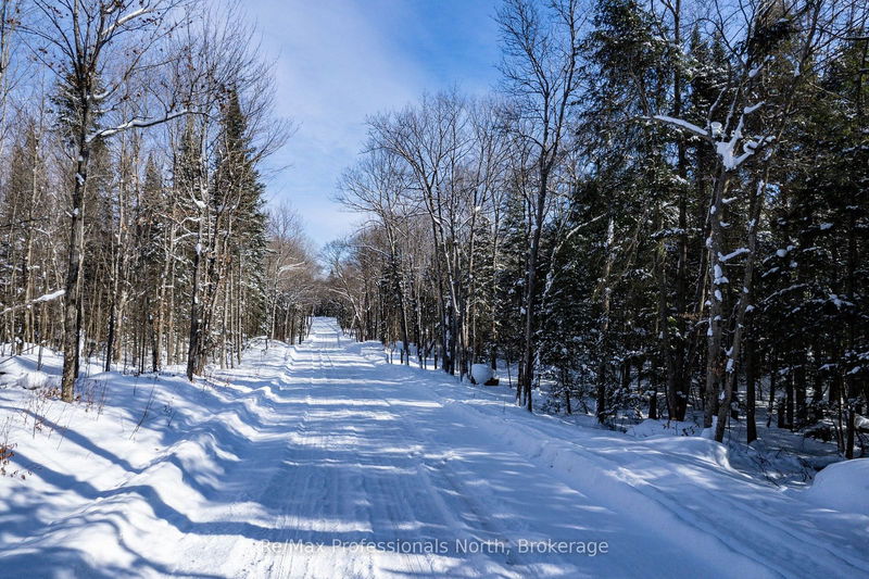  South Horn Lake Rd, Burk's Falls - Burk's Falls image-0-0