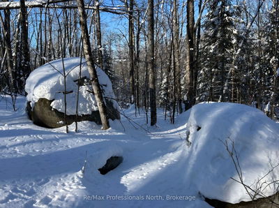  South Horn Lake Rd, Burk's Falls - Burk's Falls image-0-3