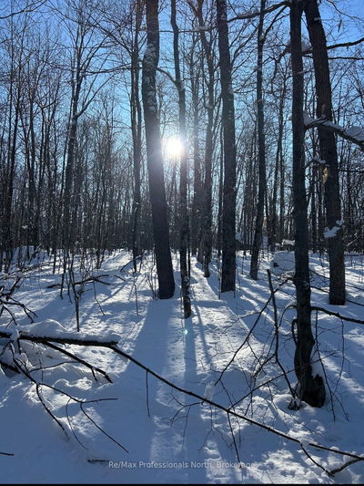  South Horn Lake Rd, Burk's Falls - Burk's Falls image-0-4