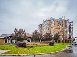 Condo sold at 206-50 Tillsley Drive, Kitchener, N2E 3V3 - MLS: X11974070