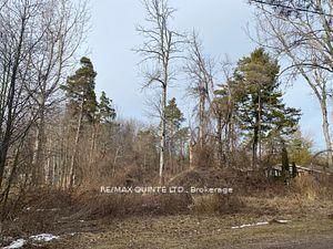 149 Evergreen Lane, Brighton, K0K 1H0 | Image 2