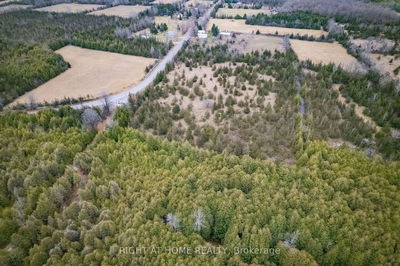 297 Power Rd, Tyendinaga -  image-0-3