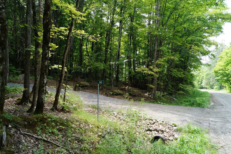 66 McCauley Road