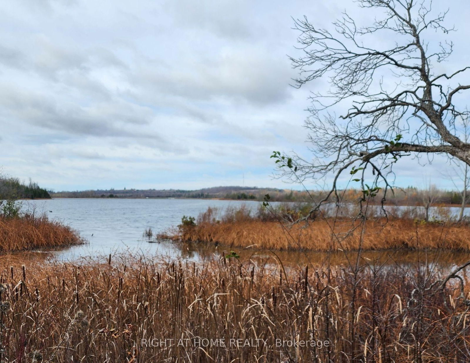 Vacant Land for sale at 0 Park Drive, Kawartha Lakes, Omemee, K0L 2W0 - MLS: X11976494