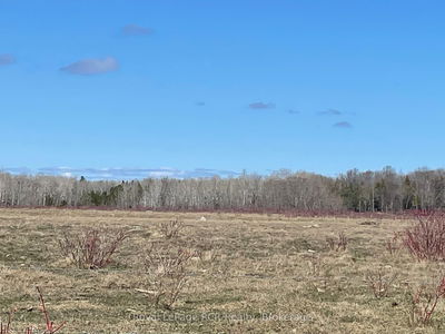 250 Scotch Line Rd, Assiginack -  image-0-4