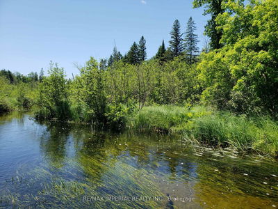 15572 Highway 17, Haley Station - 