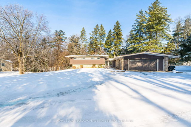 55 Gibson Drive
